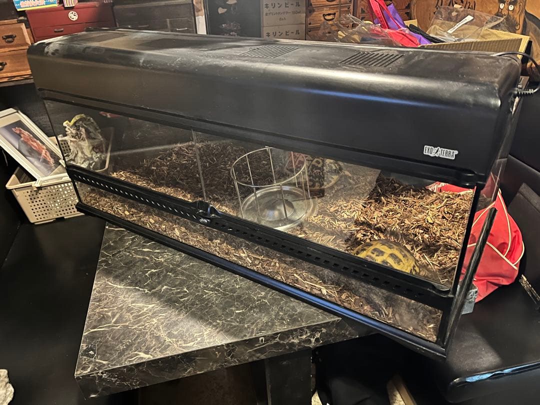 GEXエキゾテラグラステラリウム、爬虫類ゲージ、リクガメゲージ、爬虫類飼育ケース