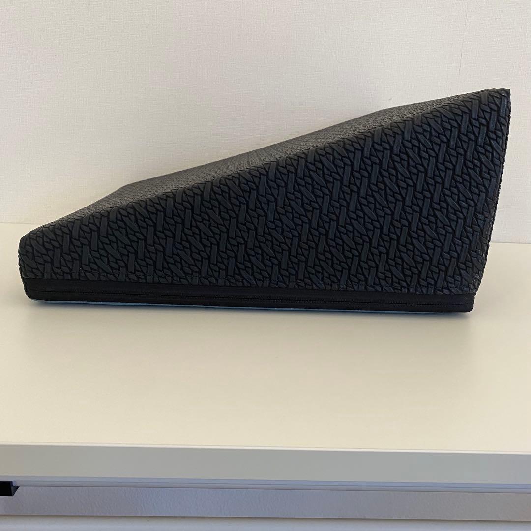 SANTEPLUS サンテプラス フレックスクッション ストレッチ エクササイズ