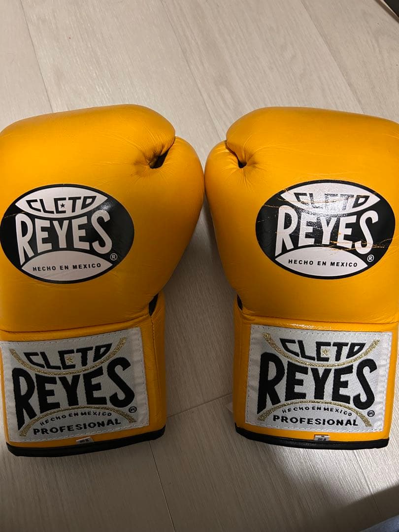 レイジェス　ボクシンググローブ8oz